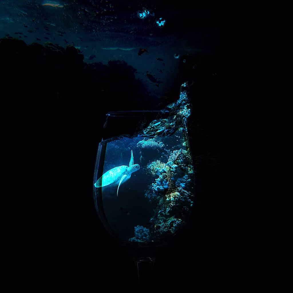 Aqua Life