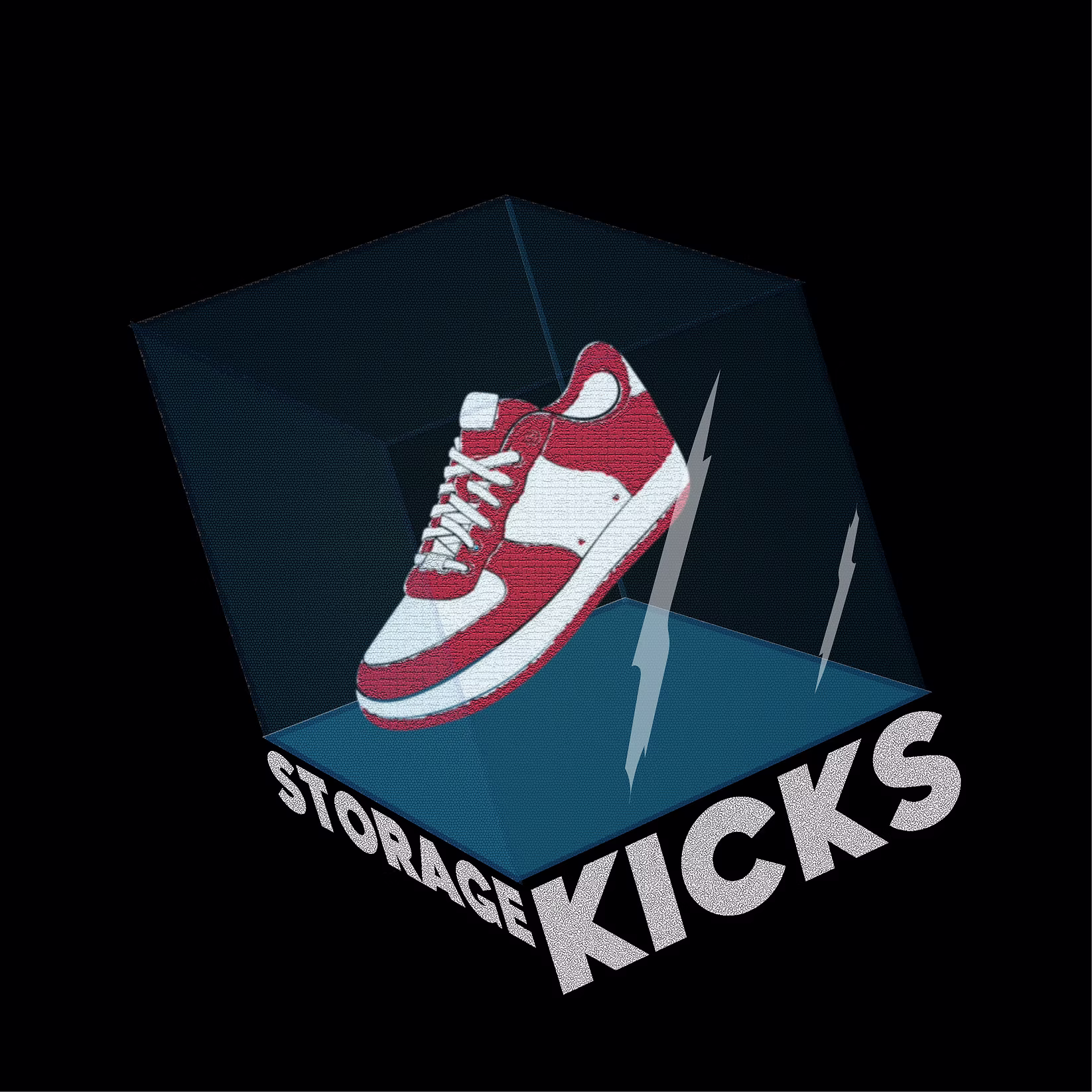 Storage Kicks Logo